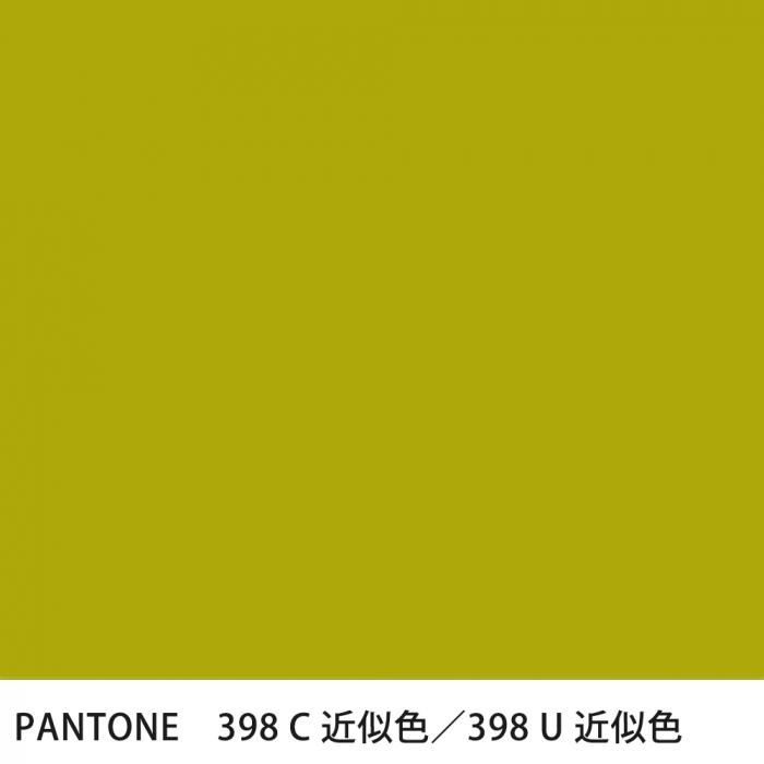  PANTONE 398C398U