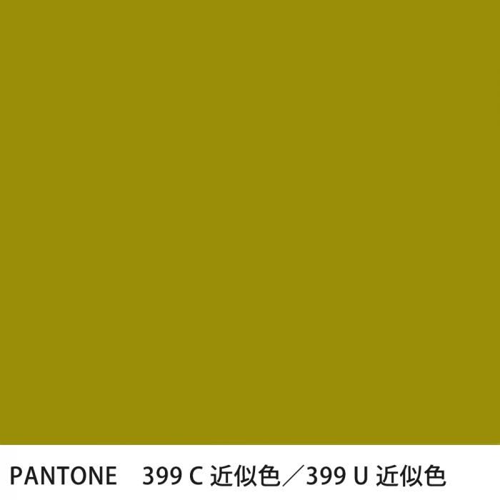  PANTONE 399C399U