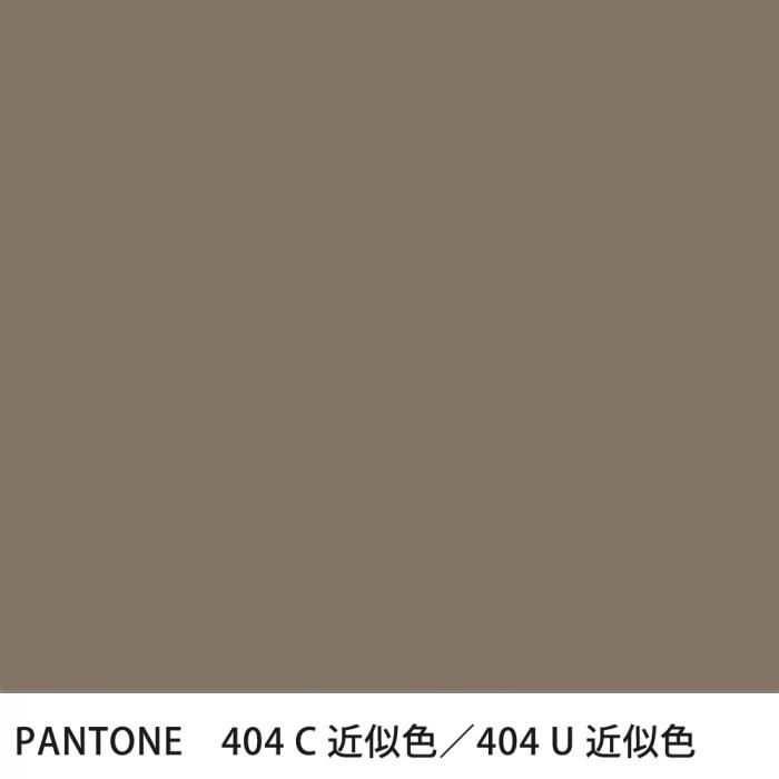  PANTONE 404C404U