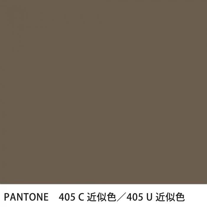  PANTONE 405C405U