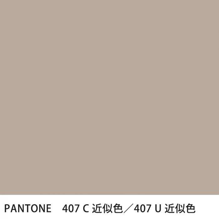  PANTONE 407C407U