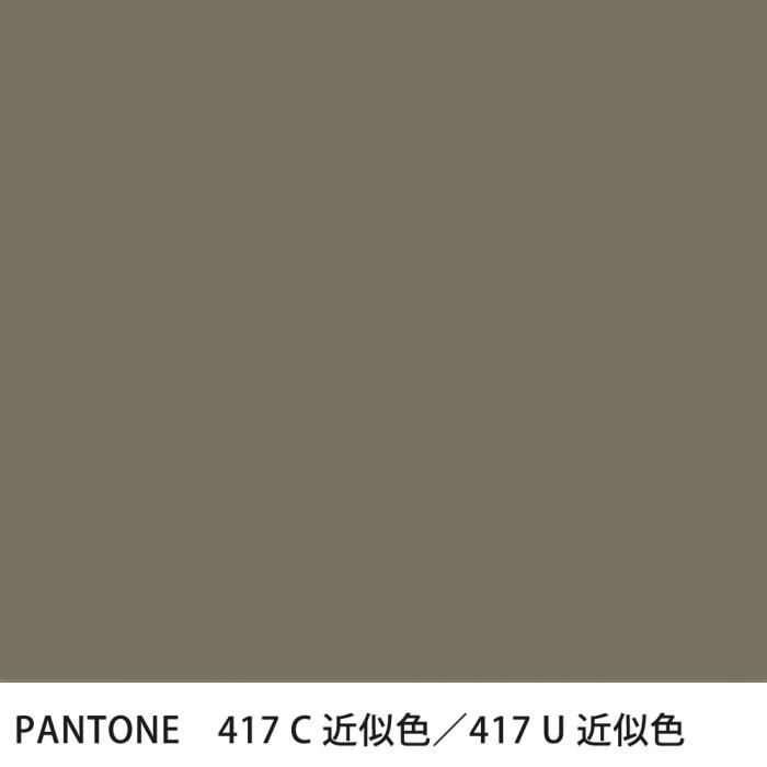  PANTONE 417C417U