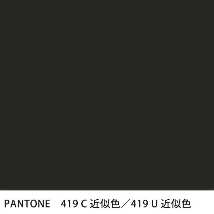  PANTONE 419C419U