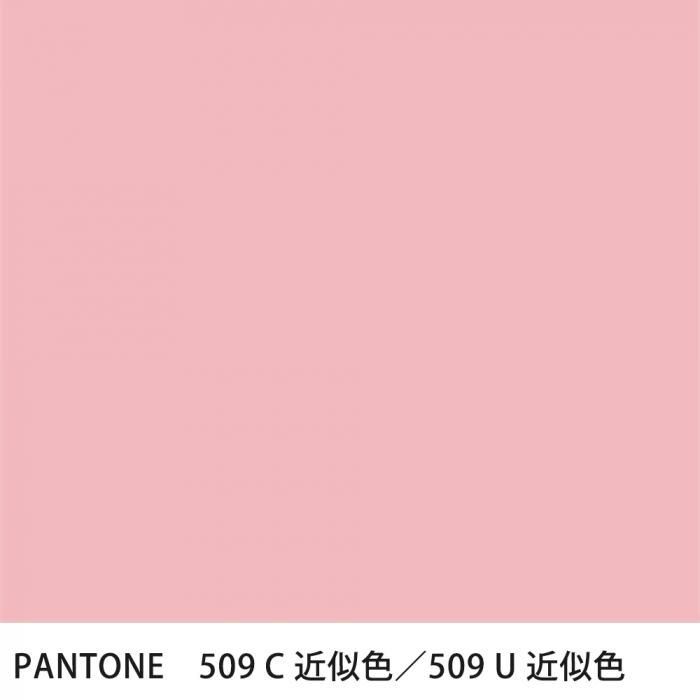  PANTONE 509C509U