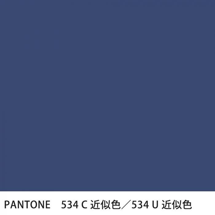  PANTONE 534C534U