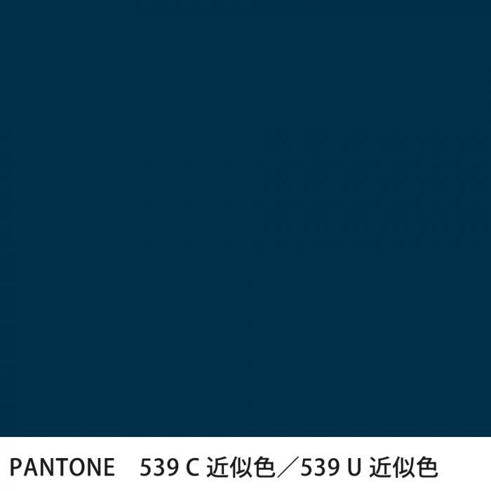  PANTONE 539C539U