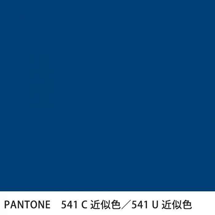  PANTONE 541C541U