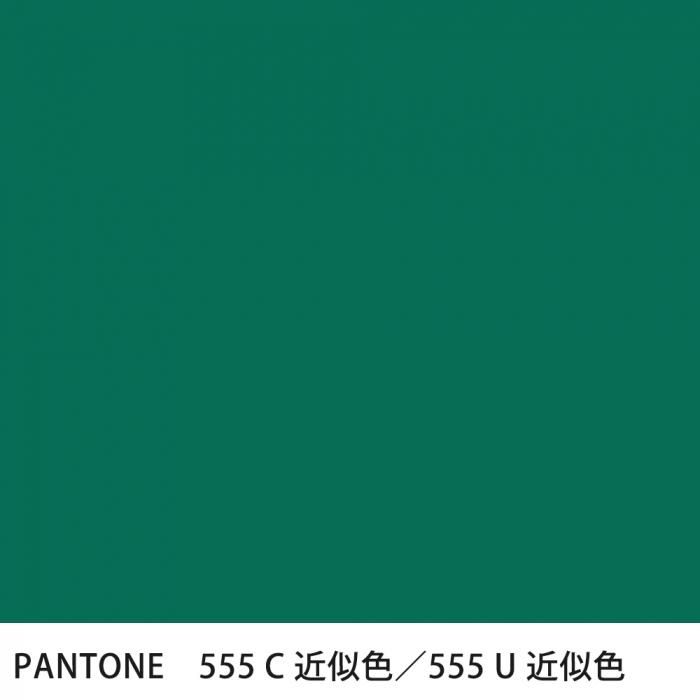  PANTONE 555C555U