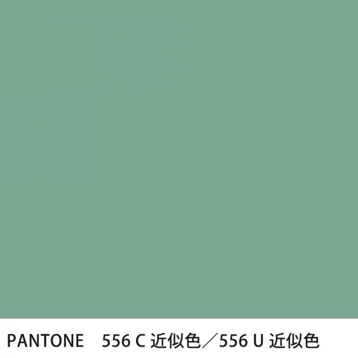  PANTONE 556C556U