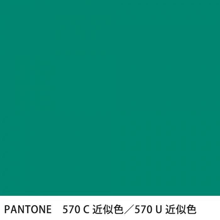  PANTONE 570C570U