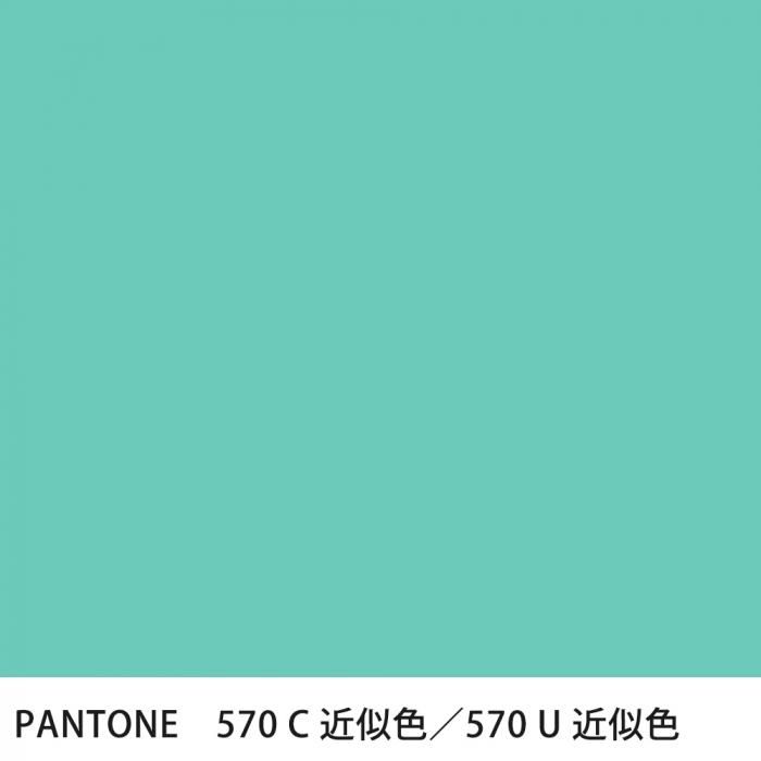 �������� PANTONE 570C��570U �����