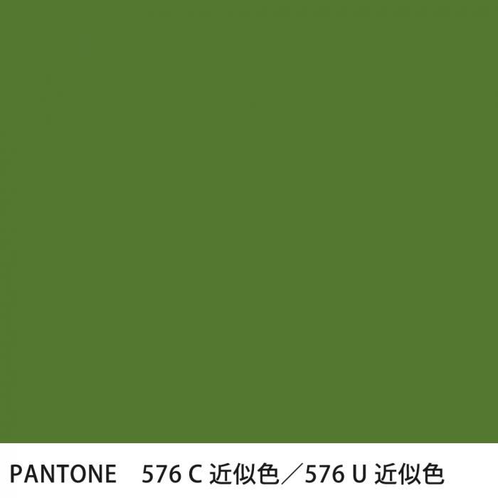  PANTONE 576C576U