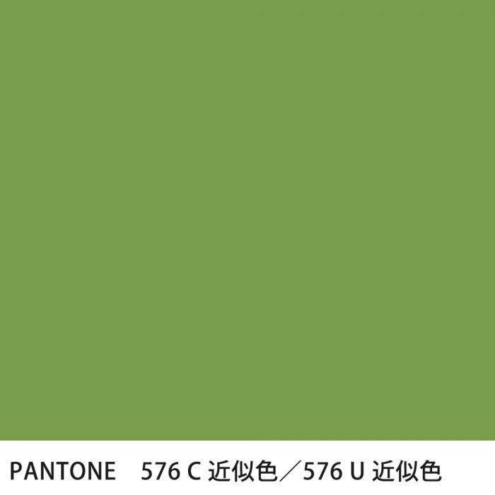 �������� PANTONE 576C��576U �����
