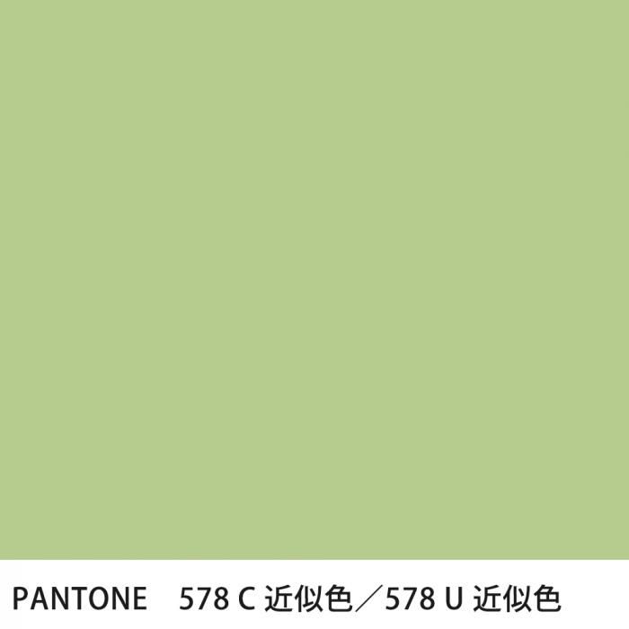  PANTONE 578C578U