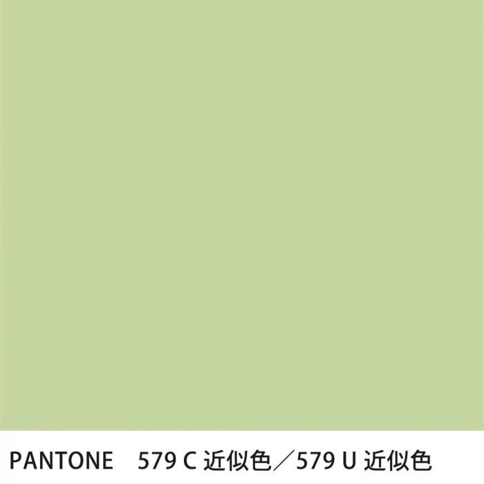  PANTONE 579C579U