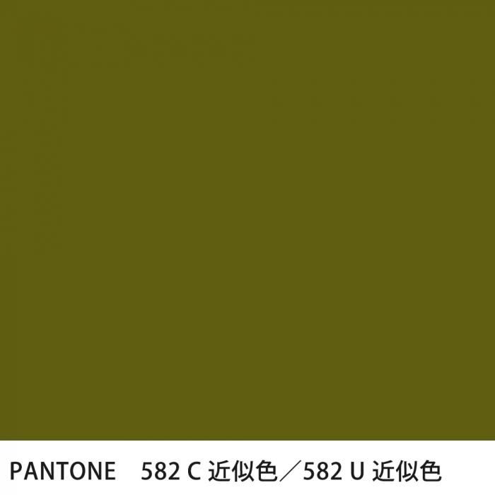  PANTONE 582C582U