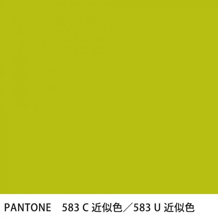 �������� PANTONE 583C��583U �����