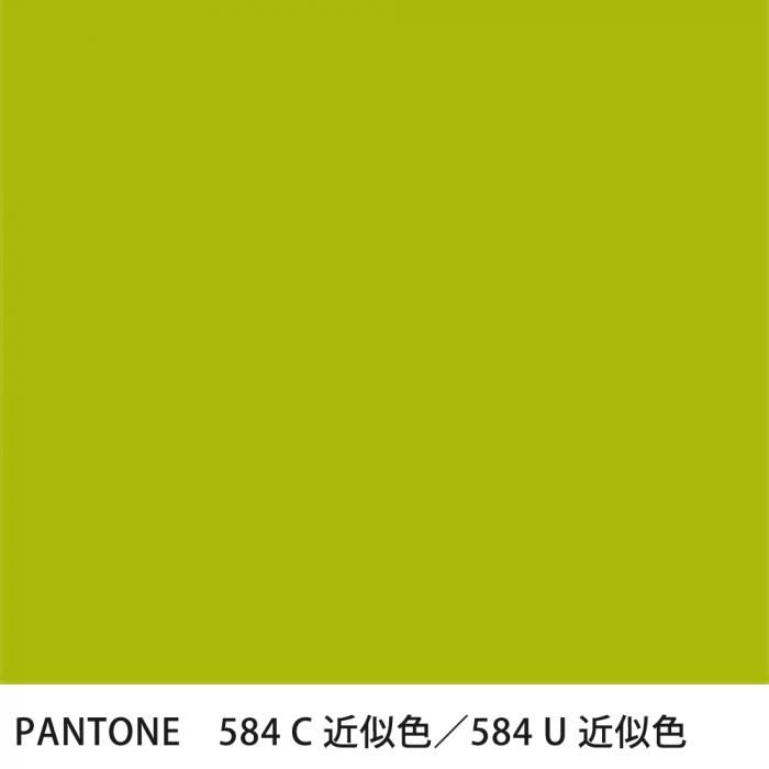  PANTONE 584C584U