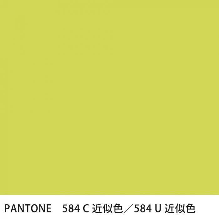 �������� PANTONE 584C��584U �����