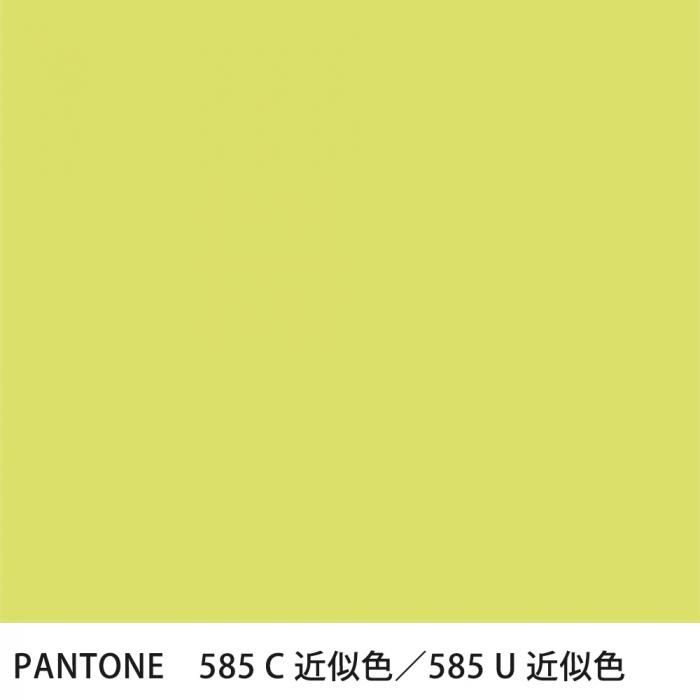  PANTONE 585C585U