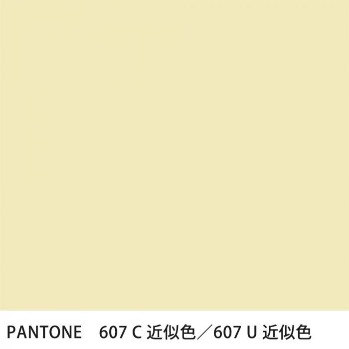  PANTONE 607C607U