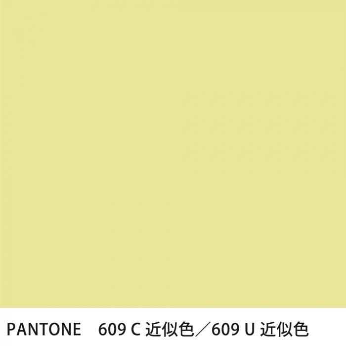  PANTONE 609C609U