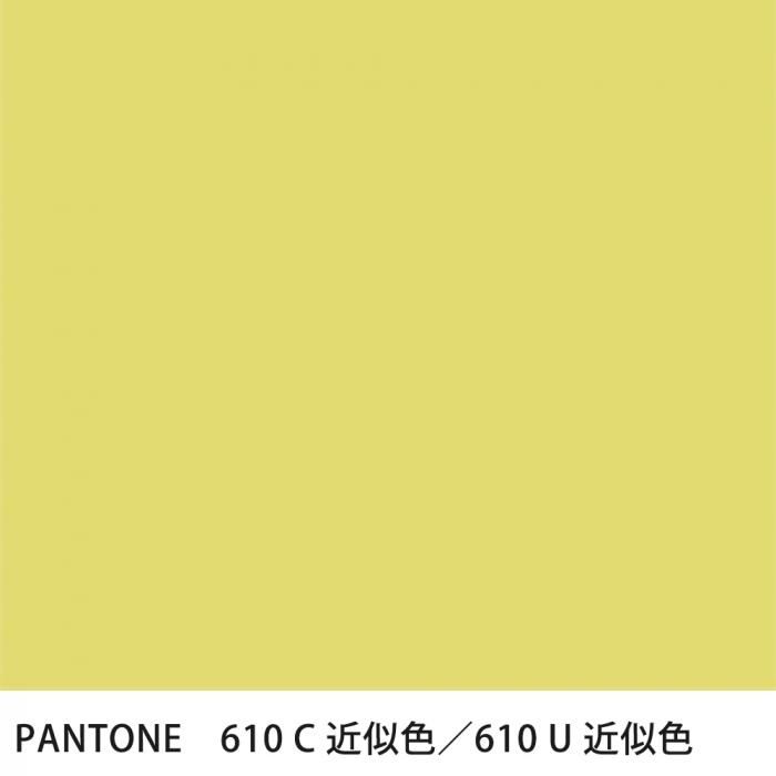  PANTONE 610C610U