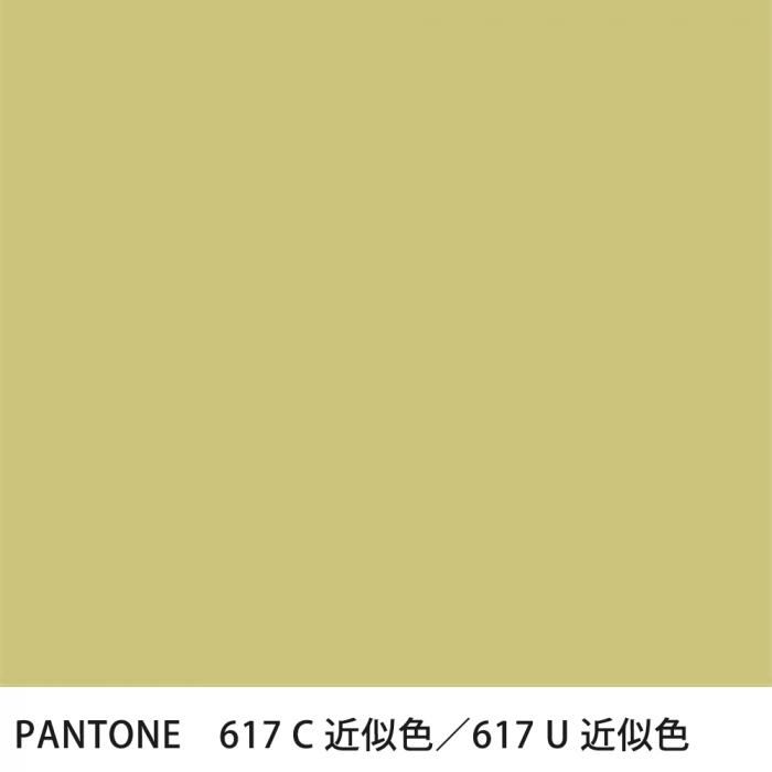  PANTONE 617C617U