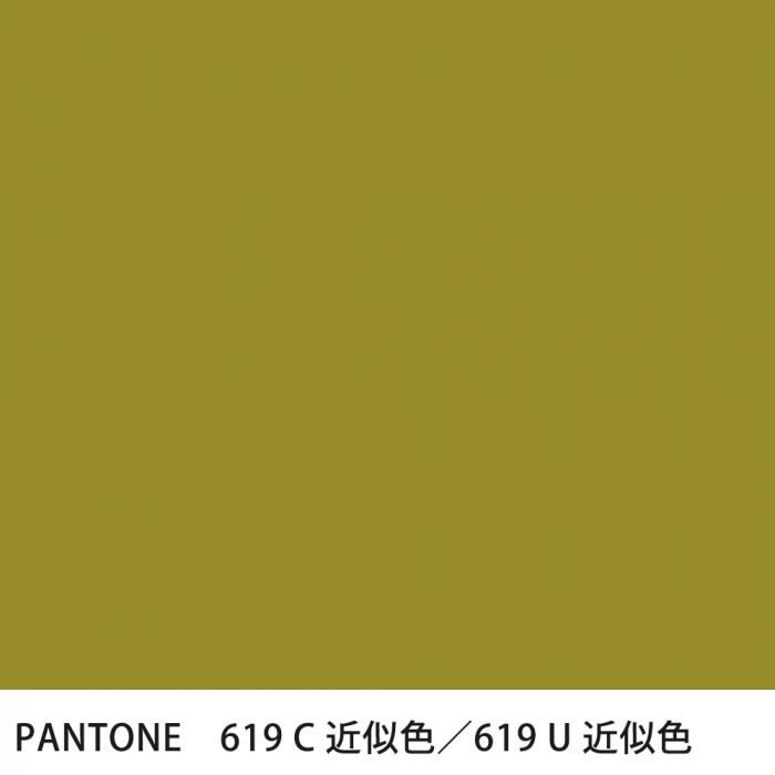  PANTONE 619C619U