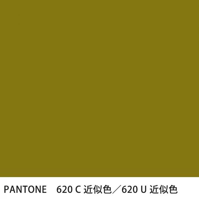  PANTONE 620C620U