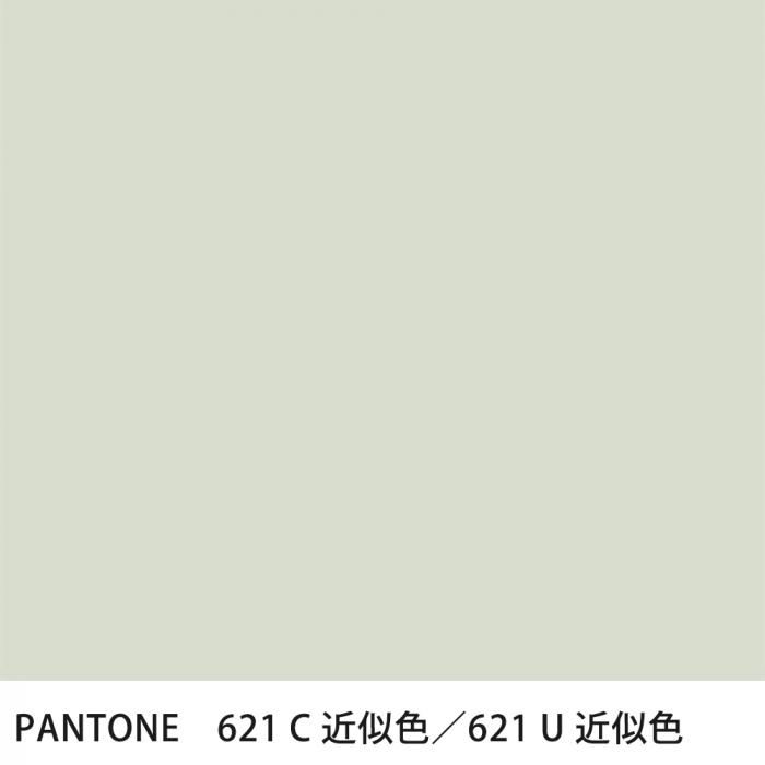  PANTONE 621C621U