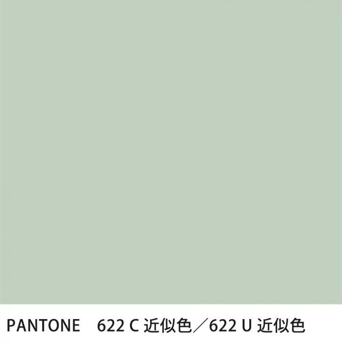  PANTONE 622C622U