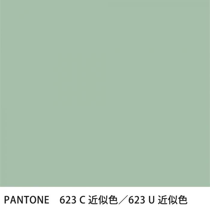  PANTONE 623C623U