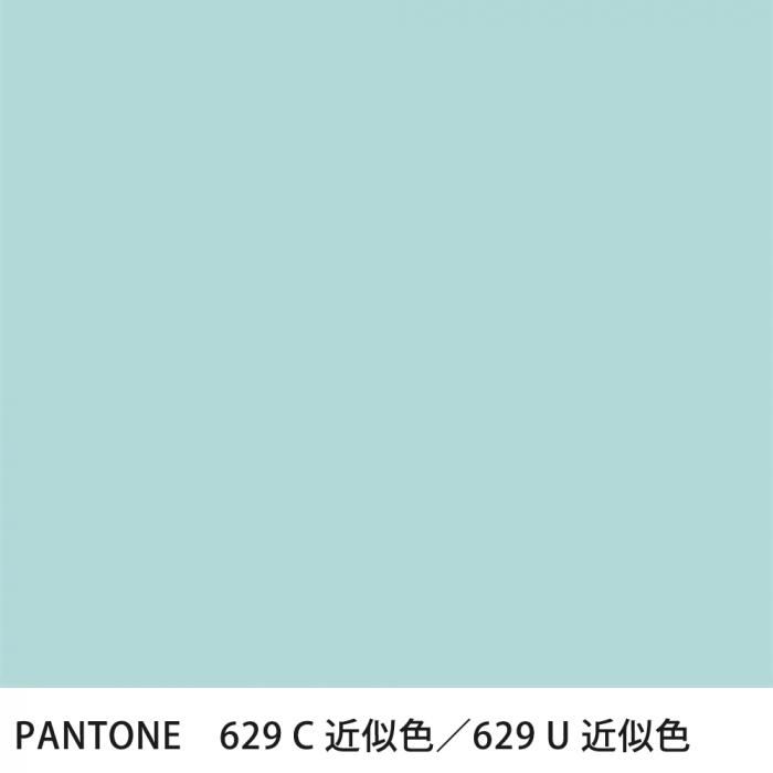  PANTONE 629C629U