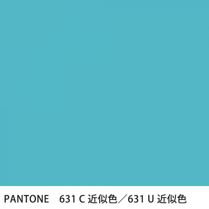 PANTONE 色見本(KIJI) PANTONE FHIカラースペシファイヤー差替 旧TPG 色見本のG&E