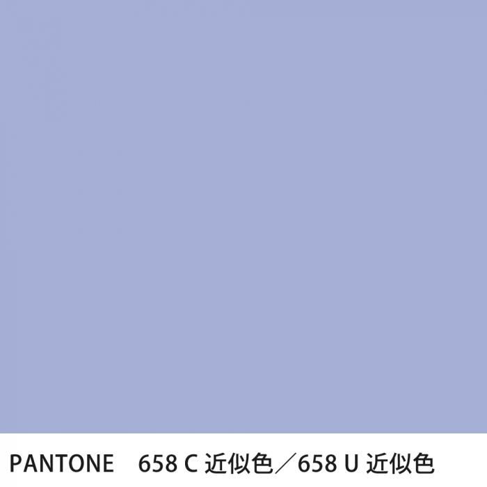  PANTONE 658C658U