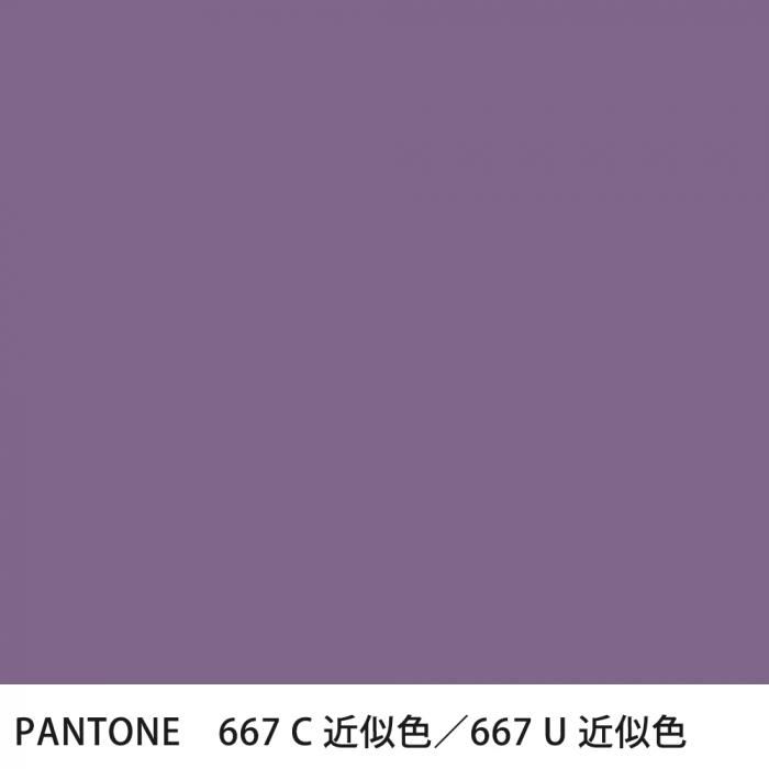  PANTONE 667C667U