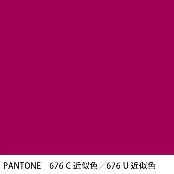  PANTONE 676C676U