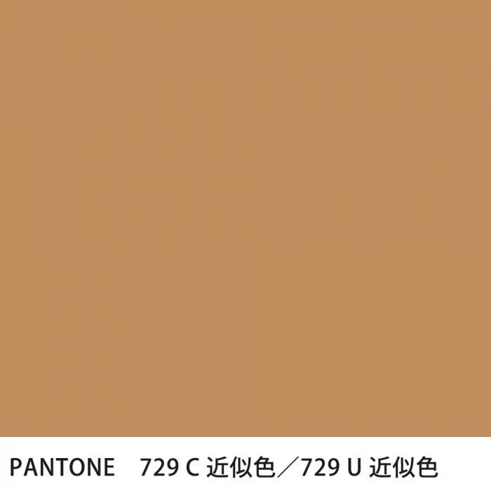  PANTONE 729C729U