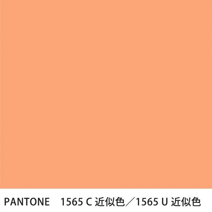  PANTONE 1565C1565U