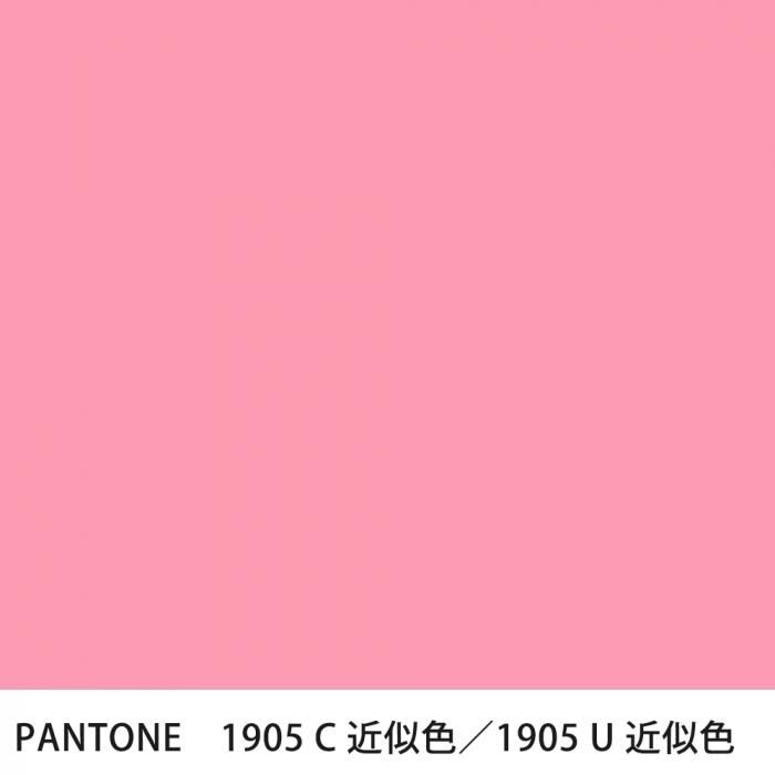  PANTONE 1905C1905U