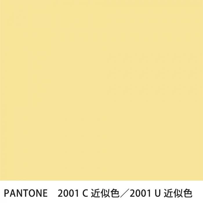  PANTONE 2001C2001U