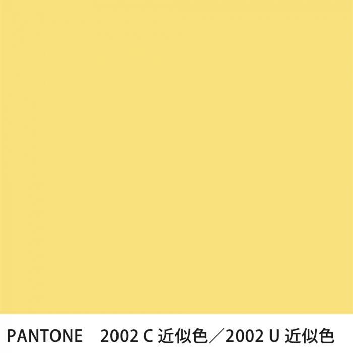  PANTONE 2002C2002U