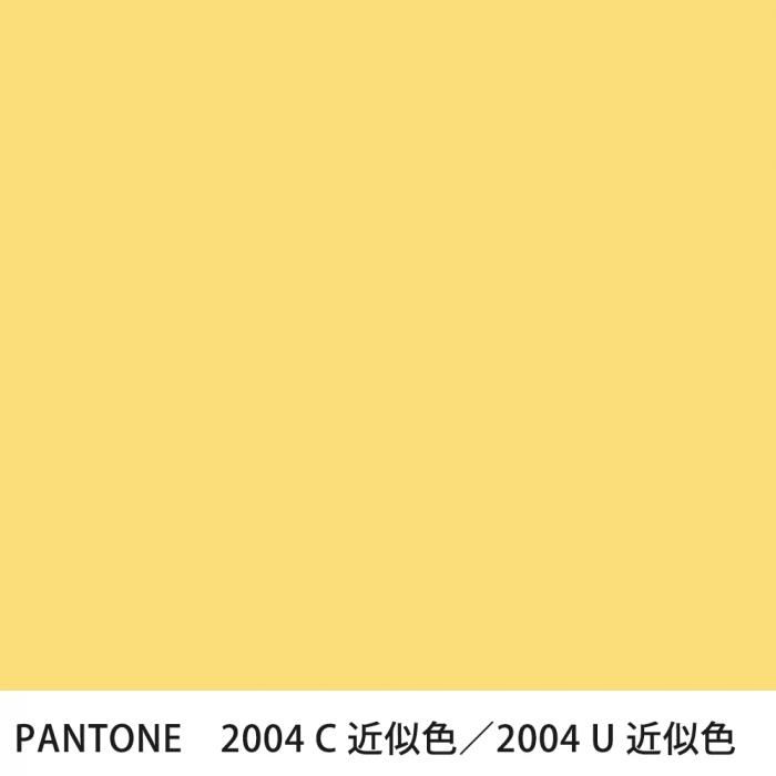  PANTONE 2004C2004U