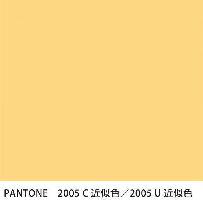  PANTONE 2005C2005U