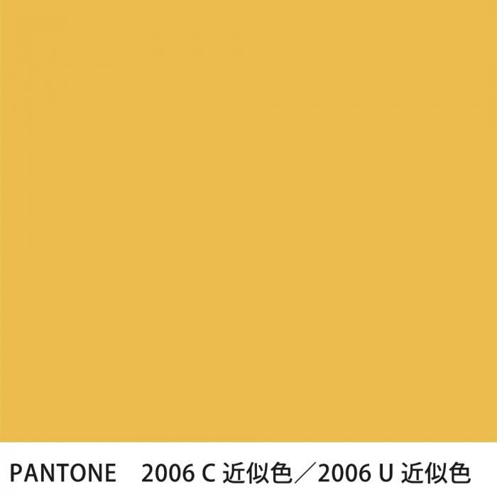  PANTONE 2006C2006U