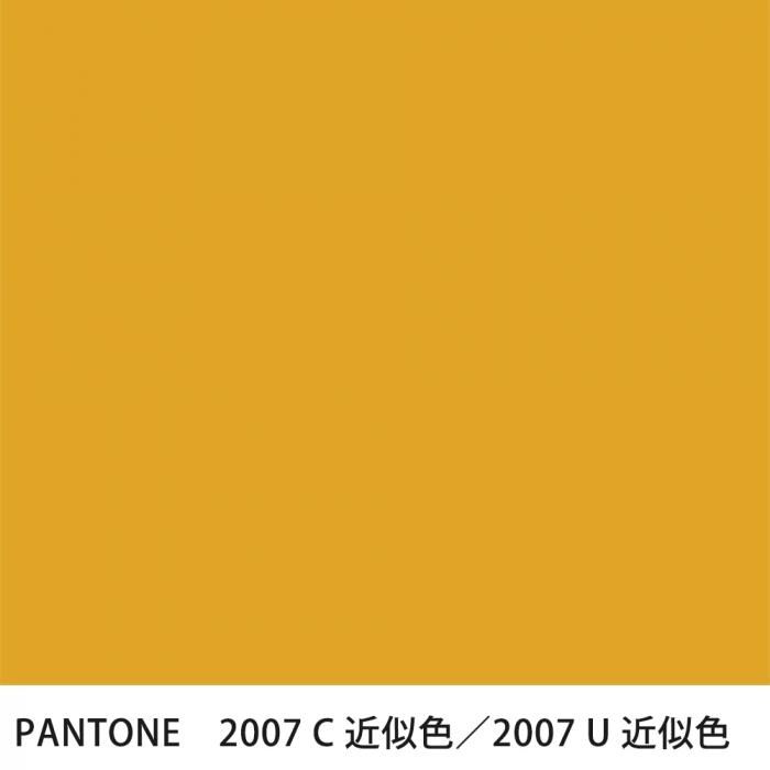  PANTONE 2007C2007U