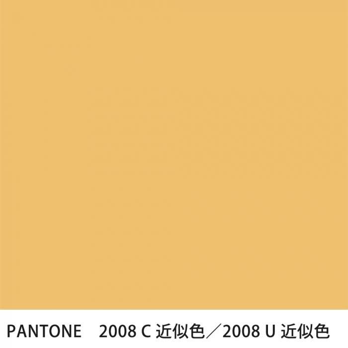  PANTONE 2008C2008U