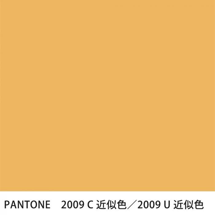  PANTONE 2009C2009U