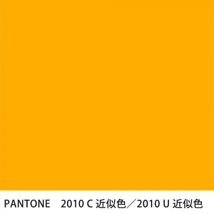  PANTONE 2010C2010U